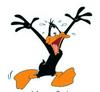 starfish: Daffy Duck, panicking (Panic!)