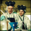 bee_york: (BREAKING BAD)