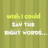 jstmealways: (Wish I could Say)