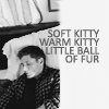auntmo9: (Dean Soft Kitty)