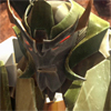 grasshopperbot: (I refuse to accept it)