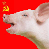 auntsarentgents: (misc - pig revolution)