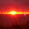 spurenimsand: (wales09)