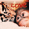 kuwdora: (Love)