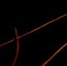 narrativian: faintly glowing rail tracks at sunset (L: lines of light)