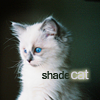 shadecat: (Default)