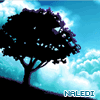 naledi_seren: (blue night tree)