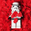 forthwritten: lego stormtrooper on a bed of red rose petals (laid on a bed of roses)