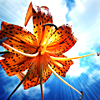 jessicainjapan: (Tiger Lily)