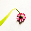 ext_72077: (Default)