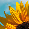 alt_moderator: (summer)