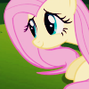quietcheer: Fluttershy with hopeful eyes. (Please?)