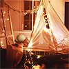 thepillowfort: (pic#3307684)
