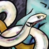 flynn_the_cat: Close up on a white snake. (Snake)