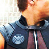 shadowen: (Hawkeye)