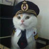 sugar_cookie: (Captain Kitteh!)