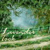 lavendertook: (rainy trees name)