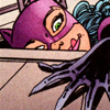 catwoman: (cat 14)