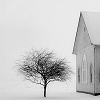 adair: old house and tree in winter (winter)