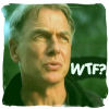 webbgirl: (NCIS_WTF?)