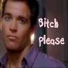 webbgirl: (NCIS_Tony-Bitch Please)