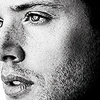 carson_leigh: (Jensen)