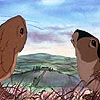 bossymarmalade: rabbits in watership down (there's a dog loose in the woods)