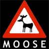 moosl: (tech)