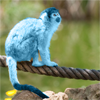 fuzzybluebamf: (UNSURE)
