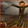 aerye: Scarecrow in a field looking evil. (scarecrow)