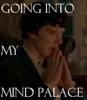 annuala: (mindpalace)