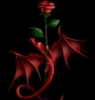 leather_rose: red rose with red dragon on black (dragon rose)