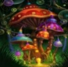 mushroom_of_doom: (PsychShrooms)