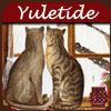 cypher: (yuletide!)