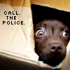 green_dreams: (call. the. police)
