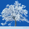 cephy: (winter)