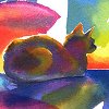 lanning: (rainbow cat)