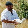 toft: jamie holds a duck (mythbusters_duck)