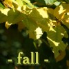 crazylilly: Mine (fall)