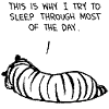 hopefulnebula: Calvin and Hobbes: This is why I try to sleep through most of the day (Hobbes Sleeping)