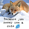 hopefulnebula: Sleeping fox - because Internet Explorer isn't cute (Cute Firefox)