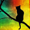 hopefulnebula: Black cat silhouette on a rainbow background (Rainbowkitty)