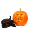 ciaan: (Halloween kitteh)