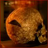 highlander_ii: old skull with mystical writings on it and glowing motes filtering into a hole in the back ([Dresden] 002)