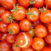 florence_craye: (tomatoes mmm)