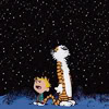 teigh_corvus: ([Comics] Calvin and Hobbes night sky)