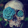 teigh_corvus: ([Misc.] [Plants] Plant Eyed Skull)