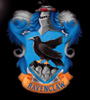 xochiquetzl: Ravenclaw (ravenclaw)