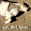 sepdet: Happy Sam rolling in the dirt. (dirt)