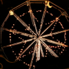 skeletal_history: (Carniale ferris wheel)